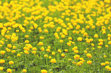 Similar image 10500370