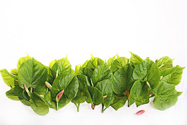 Similar image 10500371