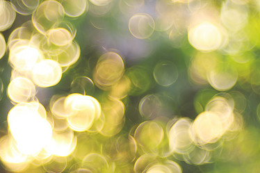 Similar image 10500372