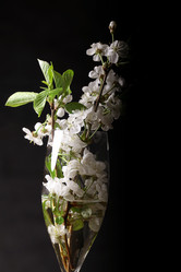 Similar image 10500373