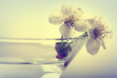 Similar image 10500376