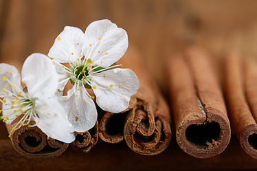 Similar image 10500380