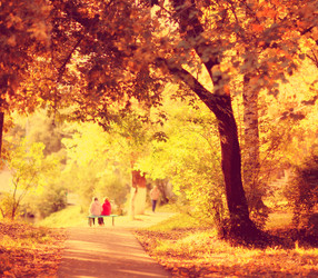 Similar image 10500388