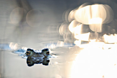 Similar image 10500389