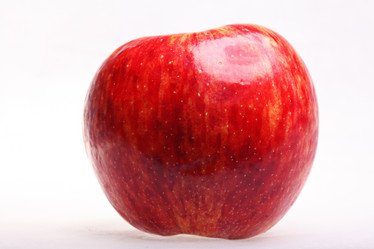 Similar image 10500395