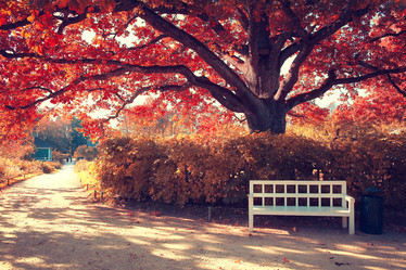 Similar image 10500399