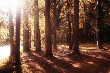 Similar image 10500400