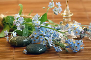 Similar image 10500405