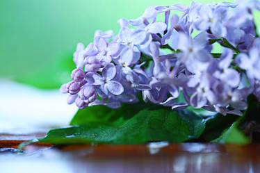 Similar image 10500408