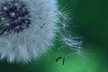 Similar image 10500414