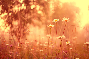 Similar image 10500420