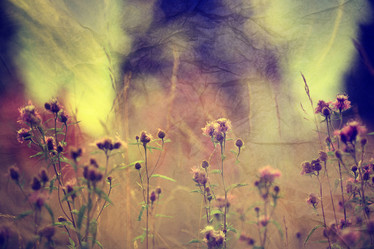 Similar image 10500422