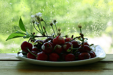 Similar image 10500423