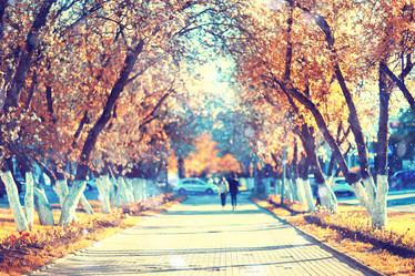 Similar image 10500428