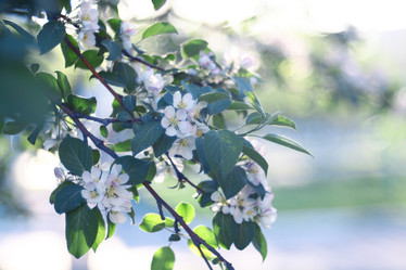 Similar image 10500430