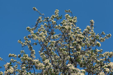 Similar image 10500431