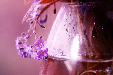 Similar image 10500433