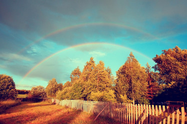 Similar image 10500443