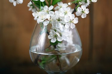 Similar image 10500444