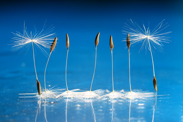 Similar image 10500452