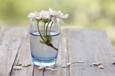 Similar image 10500458