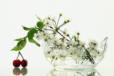 Similar image 10500461