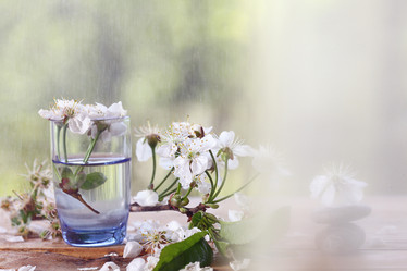 Similar image 10500462