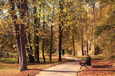 Similar image 10500464