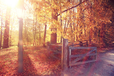 Similar image 10500466