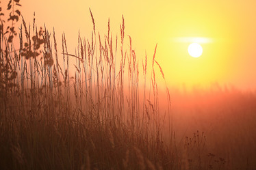 Similar image 10500468