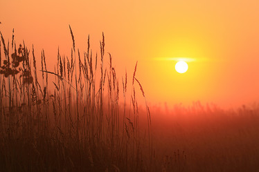 Similar image 10500470