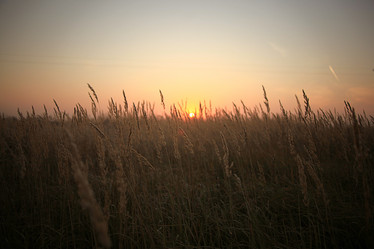 Similar image 10500472