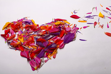 Similar image 10500473