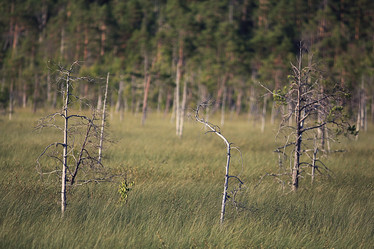 Similar image 10500481