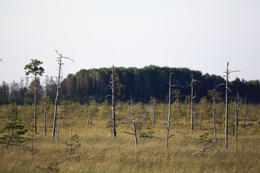 Similar image 10500483