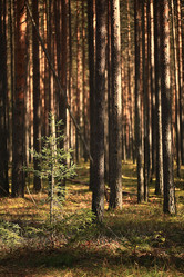 Similar image 10500484