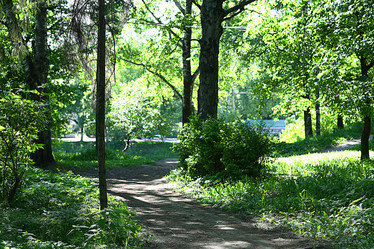 Similar image 10500485