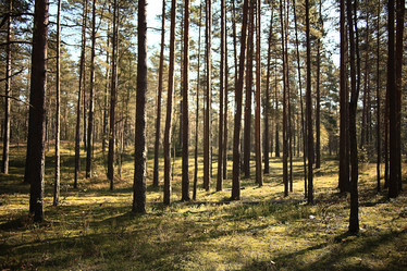 Similar image 10500486