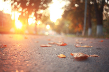 Similar image 10500492