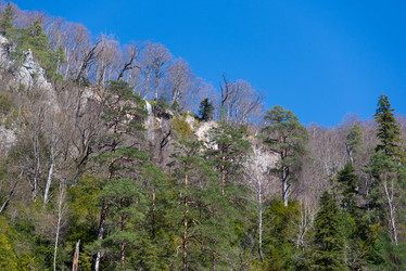 Similar image 10500519