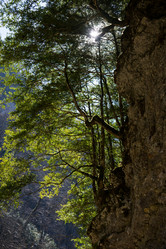 Similar image 10500524