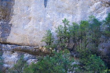 Similar image 10500529