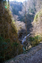 Similar image 10500532