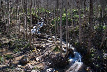 Similar image 10500542