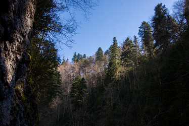 Similar image 10500554