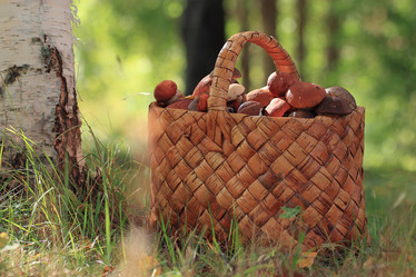 Similar image 10500598