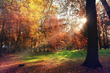 Similar image 10500603