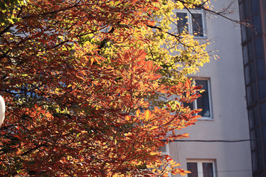 Similar image 10500621