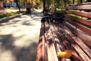 Similar image 10500622