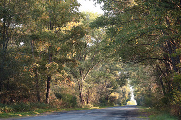 Similar image 10500638